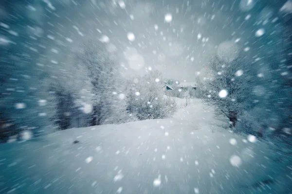 Schneebedeckter Wald — Stockfoto