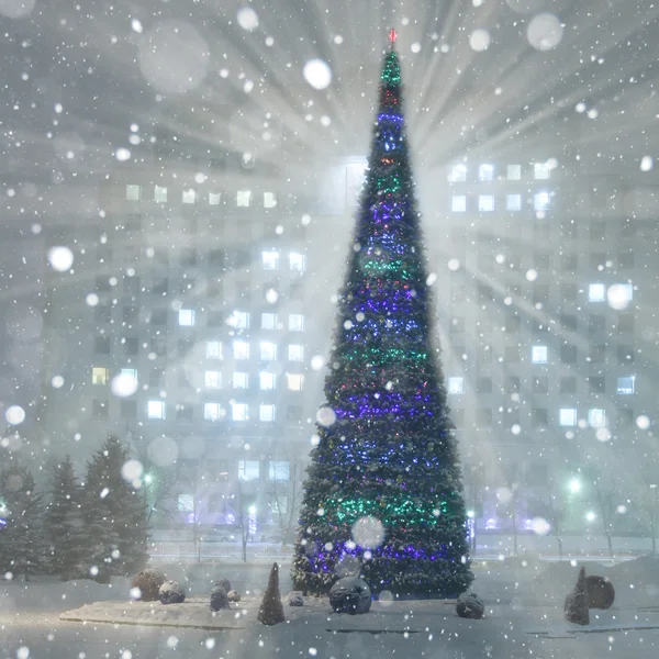 Vánoční strom jedle — Stock fotografie