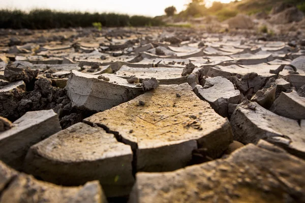 Terre fissurée sèche — Photo