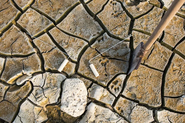 Empreintes de chien sur la terre sèche — Photo