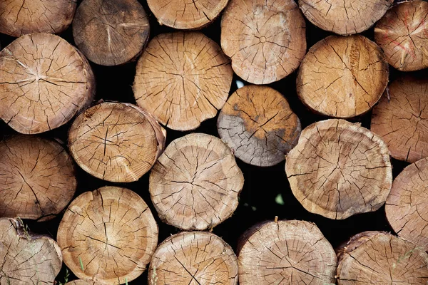 스태커 나무 줄기 — 스톡 사진