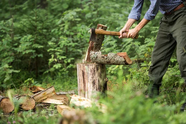 Hout hakken — Stockfoto