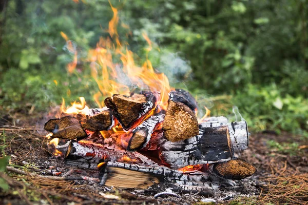 Feu de joie lumineux dans la forêt — Photo