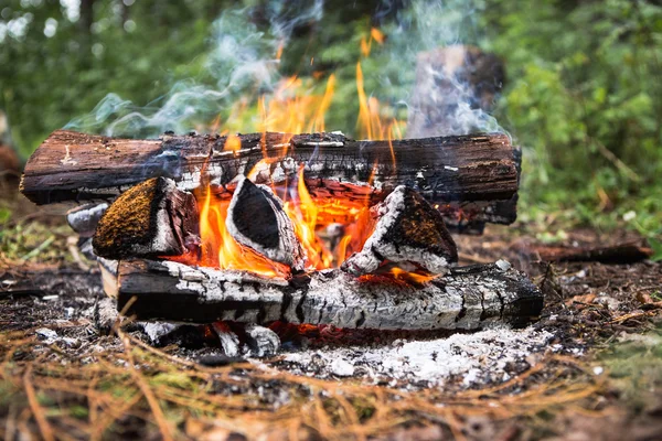 Feu de joie lumineux dans la forêt — Photo