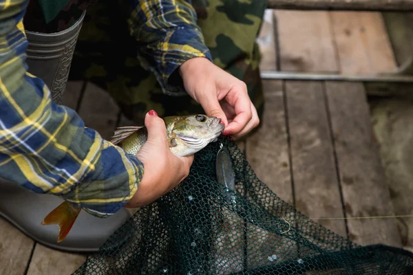 Fish in female hands — Stock Photo, Image