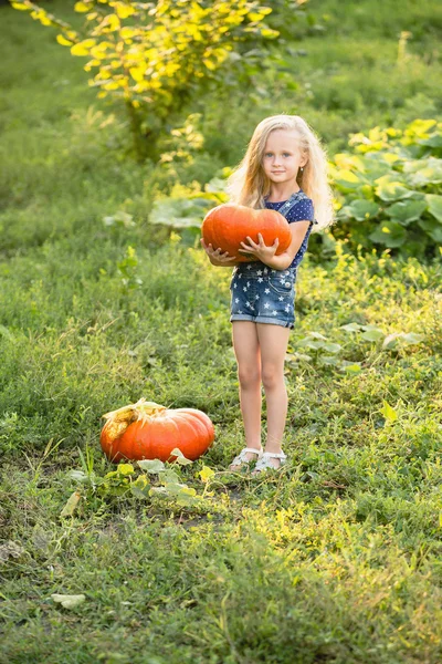 Kleines Mädchen mit Kürbissen — Stockfoto