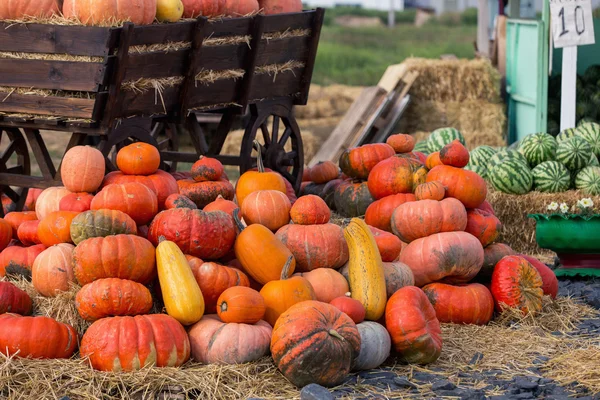 Grote stapel pompoenen op hooi in een houten kar. Het seizoen van de oogst op de boerderij. Thanksgiving, herfst achtergrond. Beurzen, festivals, mooie grote pompoenen verkoop. — Stockfoto