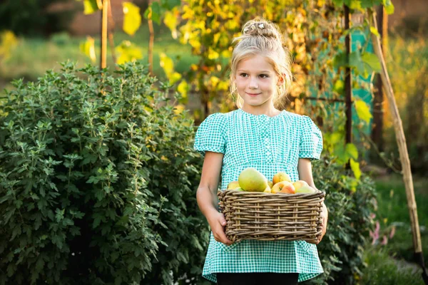 Mädchen mit einem Korb voller Äpfel — Stockfoto