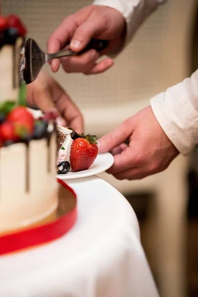 Thrê bruidegom snijdt de taart — Stockfoto