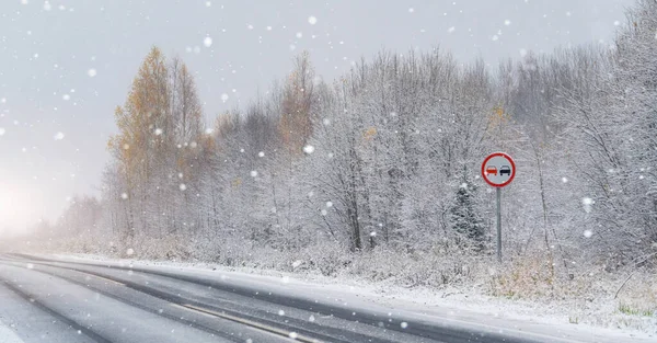 Camino Invierno Través Del Bosque —  Fotos de Stock