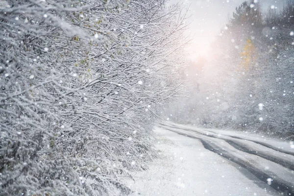 Camino de invierno bajo nieve —  Fotos de Stock