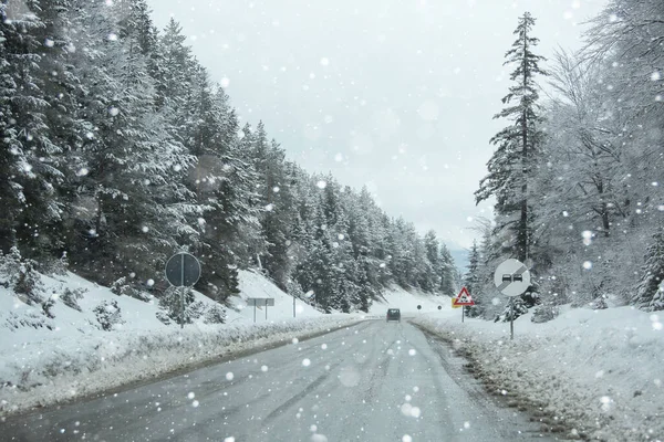 Зимняя Дорога Через Лес — стоковое фото