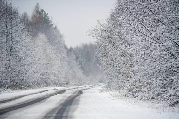 Camino Invierno Través Del Bosque —  Fotos de Stock