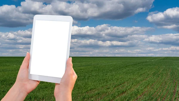 Hands with digital tablet — Stock Photo, Image