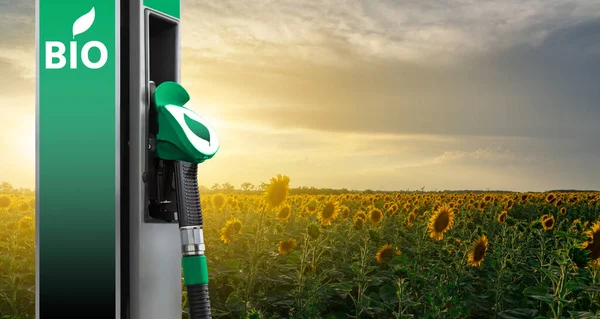 Biotreibstofftankstelle Vor Dem Hintergrund Eines Sonnenblumenfeldes — Stockfoto