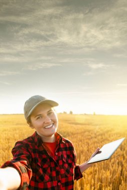 A woman farmer examines the field of cereals and sends data to the cloud from the tablet. Smart farming and digital agriculture. clipart