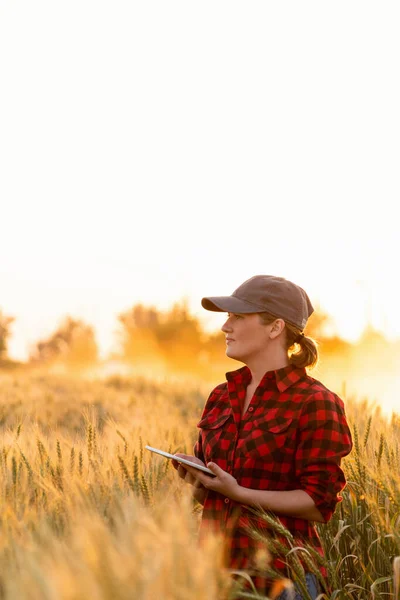 Жінка-фермер з планшетом . — стокове фото