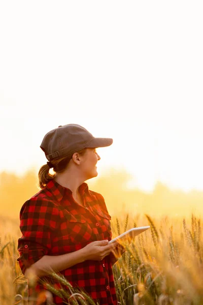 Una mujer agricultora con tableta. — Foto de Stock