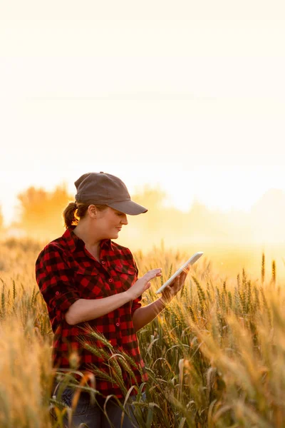 Una mujer agricultora con tableta. — Foto de Stock