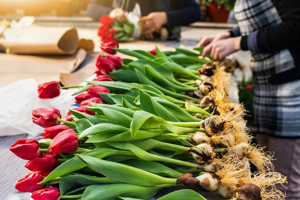Floristas Invernadero Recogen Ramos Tulipanes Para Entrega —  Fotos de Stock