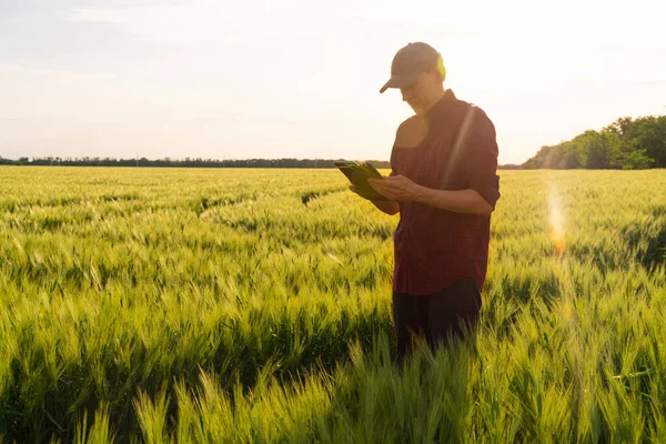 Farmer with digital tablet on a rye field. Smart farming and digital transformation in agriculture.