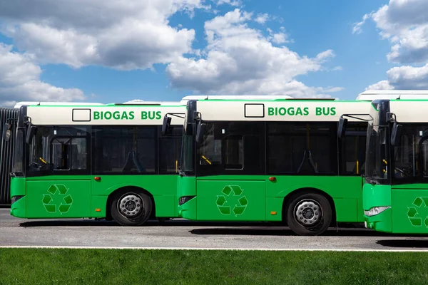 Автобусы Биогазе Городской Улице Концепция Углеродно Нейтрального Транспорта — стоковое фото