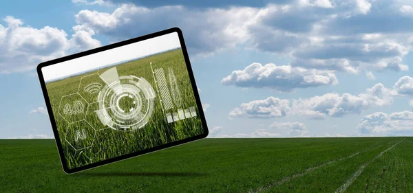 Digitales Tablet Mit Infografik Auf Einem Hintergrund Des Landwirtschaftlichen Feldes — Stockfoto