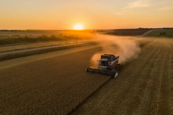 Combine Cosechadora Campo Atardecer Vista Aérea —  Fotos de Stock