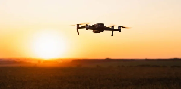 Drohne Fliegt Über Ein Weizenfeld Smart Farming Und Präzisionslandwirtschaft — Stockfoto