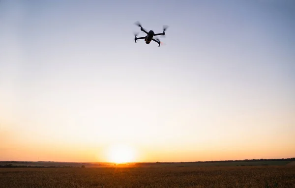 Drone Vola Sopra Campo Grano Agricoltura Intelligente Agricoltura Precisione — Foto Stock