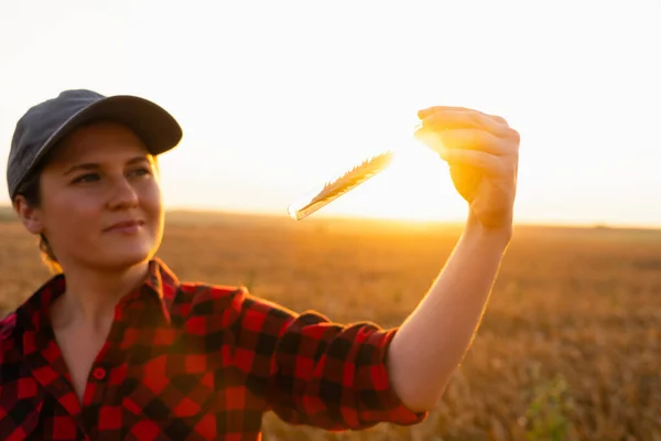 一位拿着数字平板电脑的女农民手里拿着一个试管里的麦穗 — 图库照片