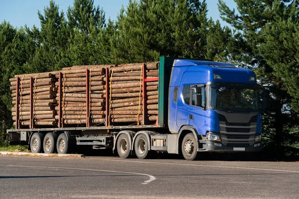 Fából készült rönköt szállító teherautó — Stock Fotó