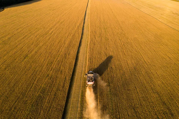 Combine harvester. Aerial view — Stock fotografie