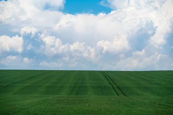 Agricultural field with clouds — Foto de Stock