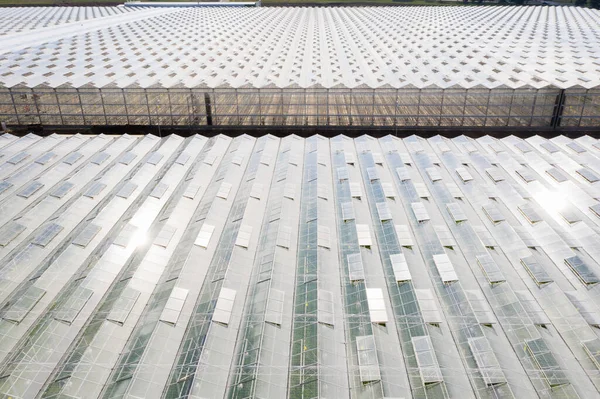 Industrielle Landwirtschaftliche Gewächshäuser Zum Gemüseanbau Luftaufnahme — Stockfoto