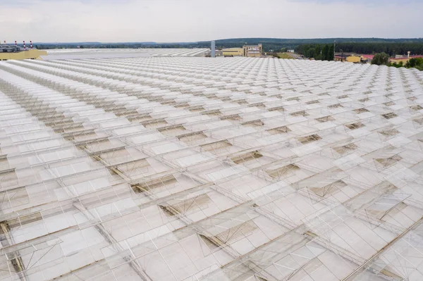 Estufas Agrícolas Industriais Para Cultivo Vegetais Vista Aérea — Fotografia de Stock