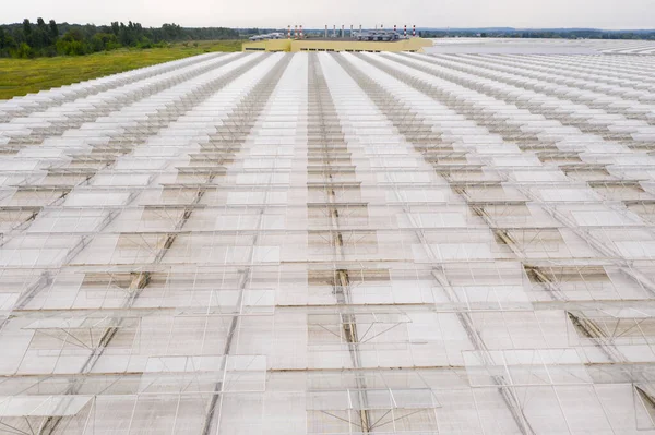 Estufas Agrícolas Industriais Para Cultivo Vegetais Vista Aérea — Fotografia de Stock