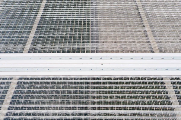Industrielle Landwirtschaftliche Gewächshäuser Zum Gemüseanbau Luftaufnahme — Stockfoto
