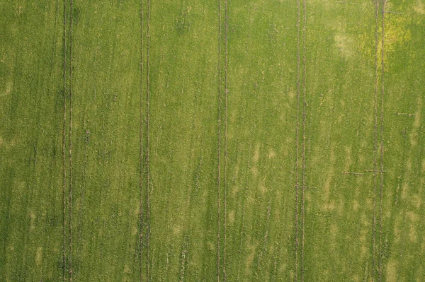 Vista aerea del terreno agricolo — Foto Stock