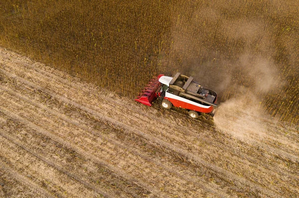 Combineer oogstmachine oogsten zonnebloemveld — Stockfoto