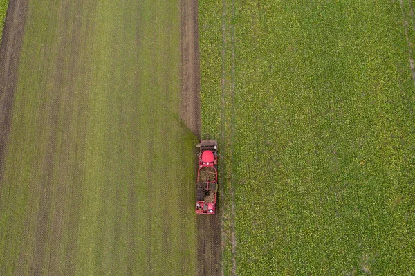 Mähdrescher Erntet Zuckerrüben Auf Dem Feld Luftaufnahme — Stockfoto