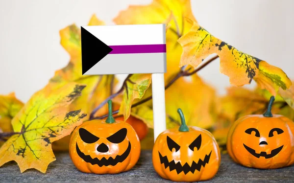 Colorful Halloween background with smiley pumpkins and toy flag of Demisexual