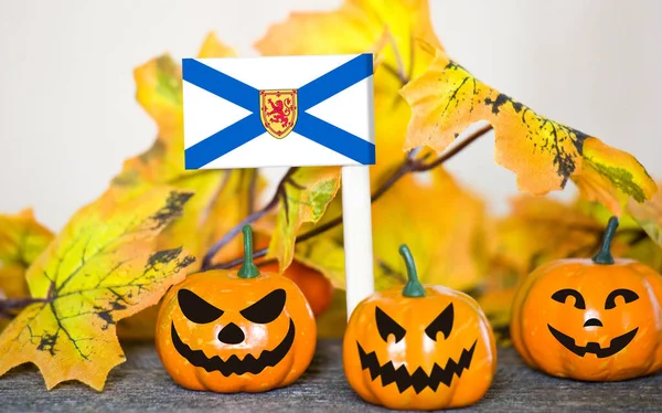 Colorful Halloween background with smiley pumpkins and toy flag of Nova Scotia