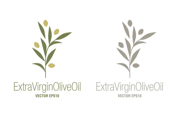 Olivenzweige Nahrung Isoliert Auf Weißem Hintergrund Symbol Für Natives Olivenöl — Stockvektor