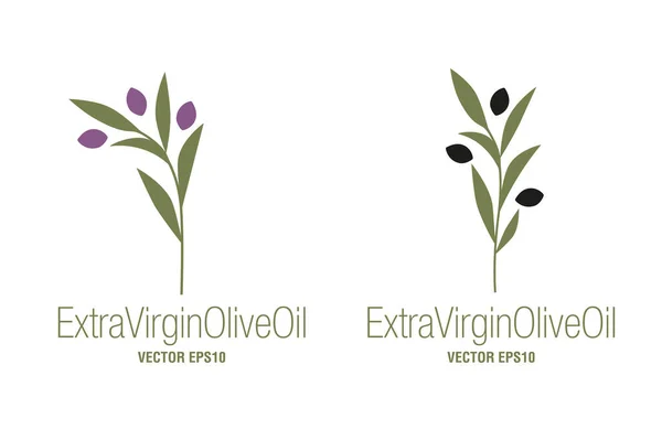 Olivenzweige Nahrung Isoliert Auf Weißem Hintergrund Symbol Für Natives Olivenöl — Stockvektor