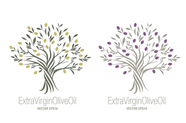 Olivenbaum Symbol Für Natives Olivenöl Extra Symbol Der Kultur Und — Stockvektor