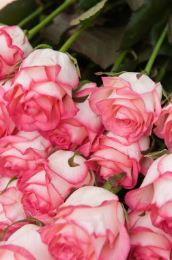 Koyu ahşap bir masa üzerinde güzel pembe güller