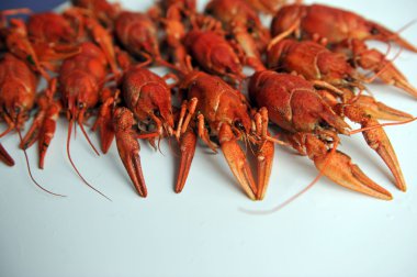 Beyaz bir arka plan üzerinde izole pişmiş kerevit. 