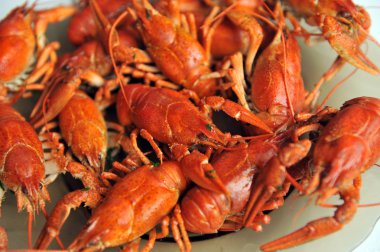 Beyaz bir arka plan üzerinde izole pişmiş kerevit. 