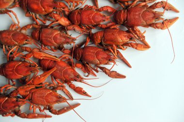 Beyaz bir arka plan üzerinde izole pişmiş kerevit. 